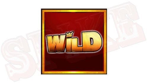 Reel Crown Hold&Win Slot Wild Symbol