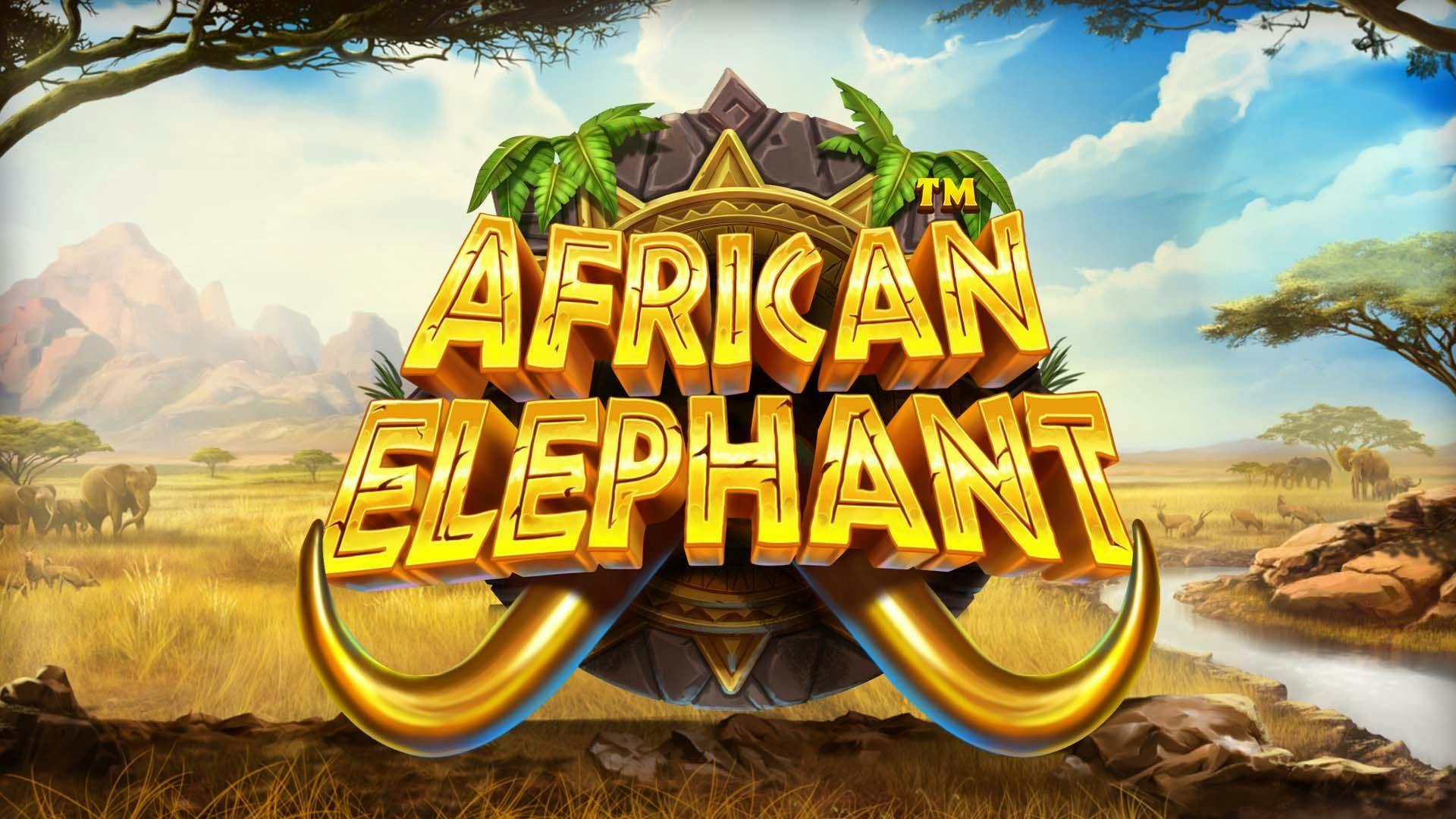 African Elephant Slot Machine Online Free Game Play
