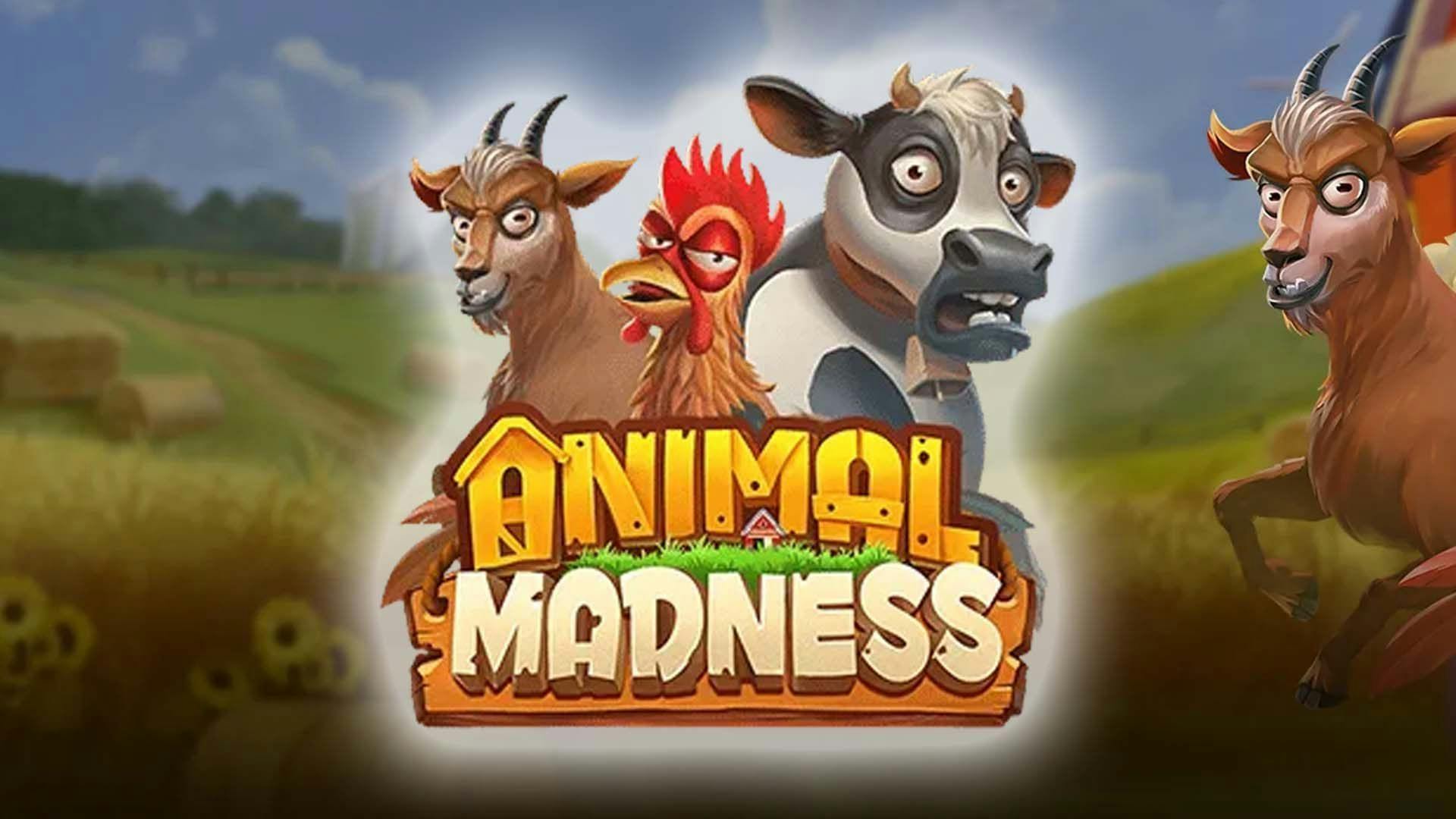 Animal Madness Slot Machine Online Free Game Play