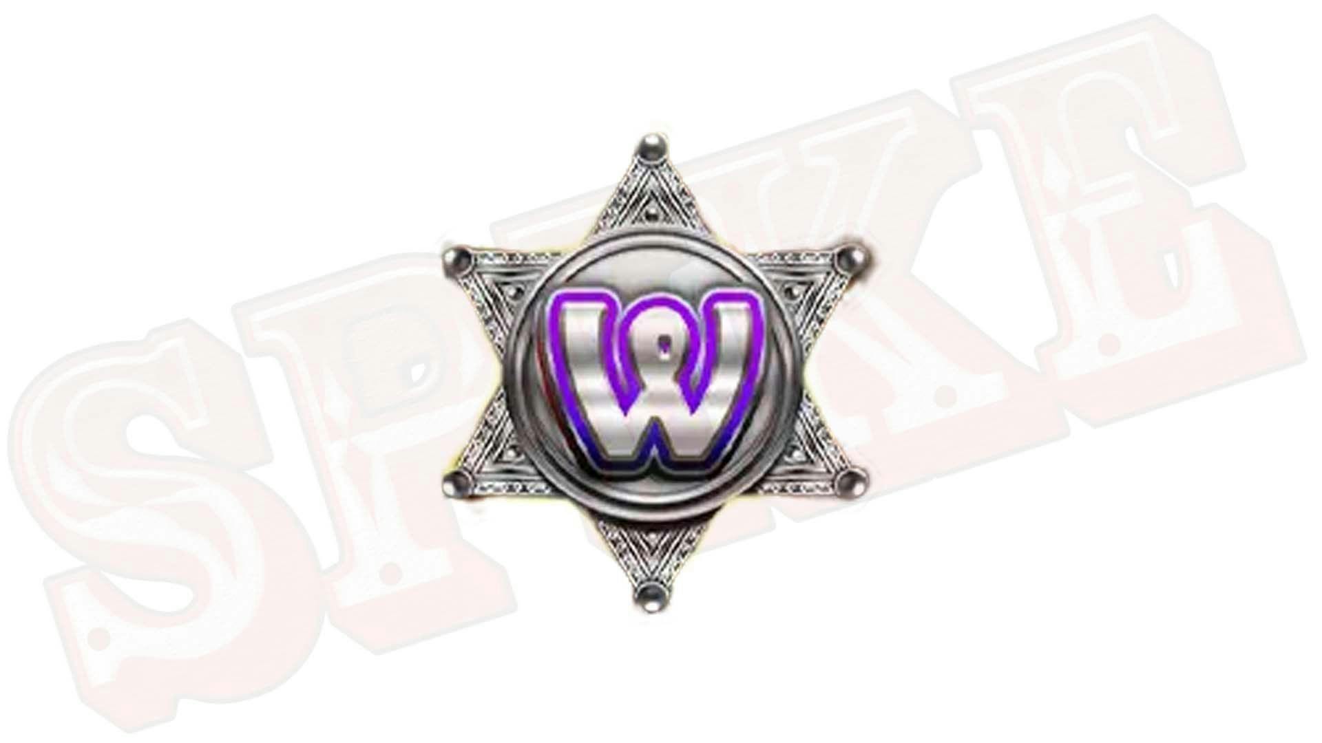 Outlaw Slot Wild Symbol