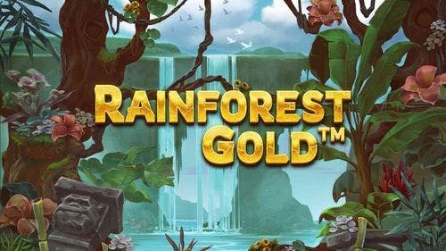 Rainforest Gold Slot Machine Online Free Game Play