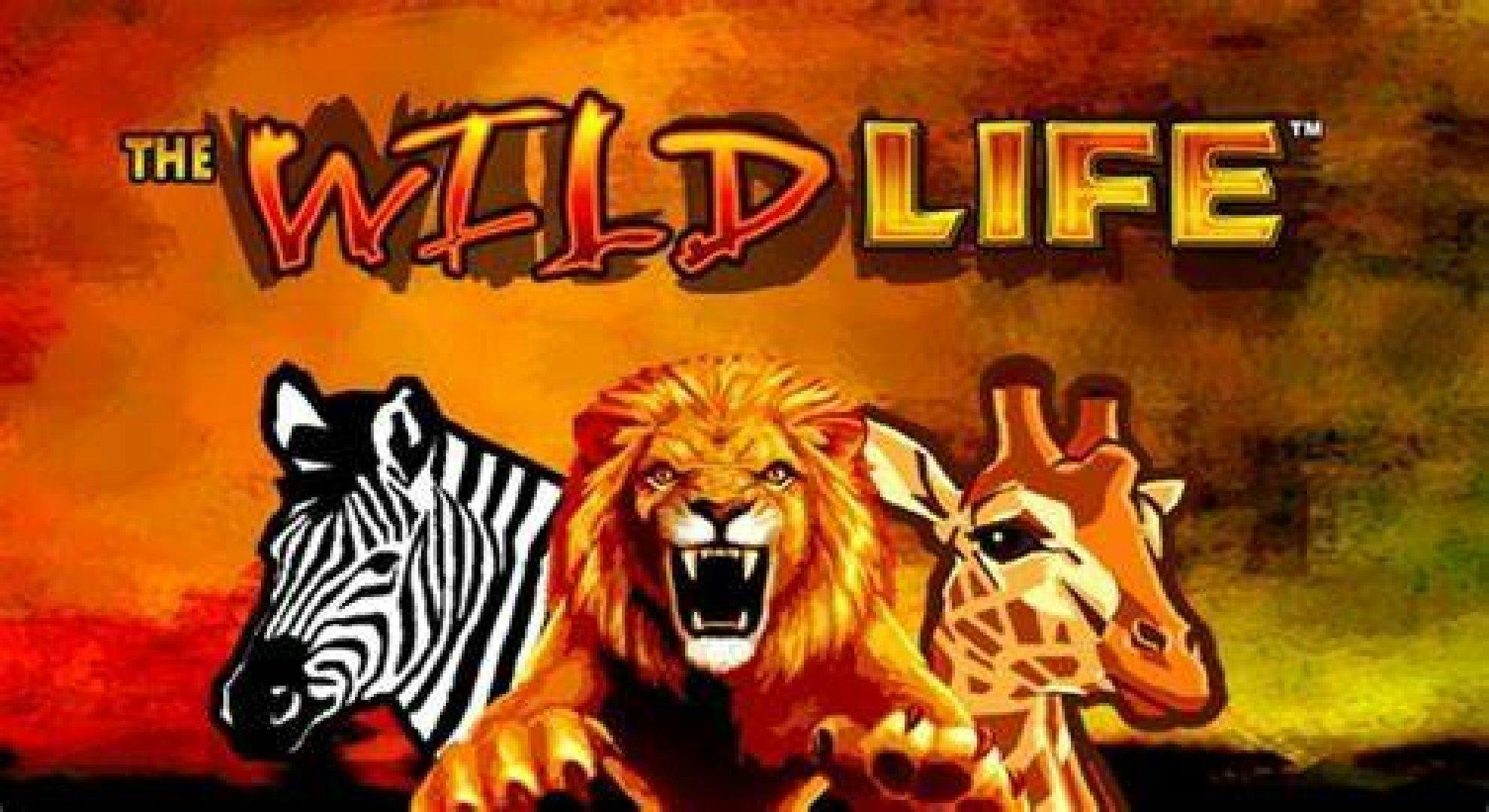 The Wild Life Slot Online Free Play