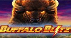 buffalo_blitz_image
