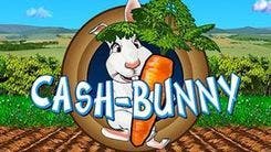 cash_bunny_image