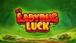 ladybug_luck_image