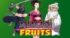 ninja_fruits_image