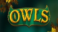 Owls Slot Machine Online Free Game Play