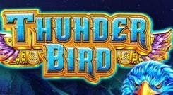 thunderbird_image