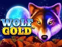 wolf_gold_image